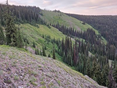 View From Camp