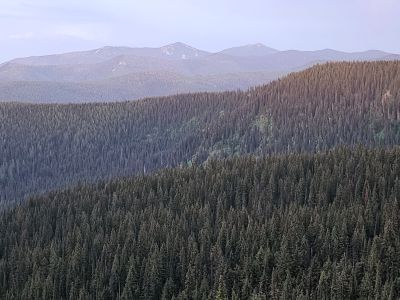 Eagle & Ward Peak