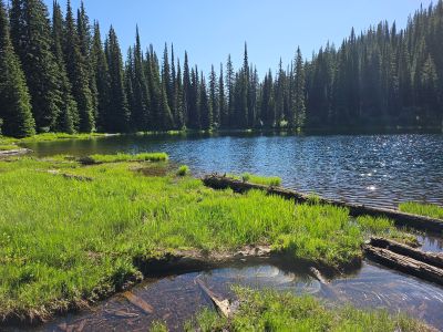 Tadpole Lake