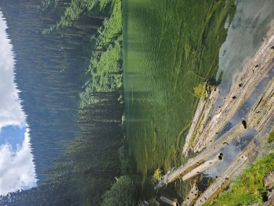 Trail Lake