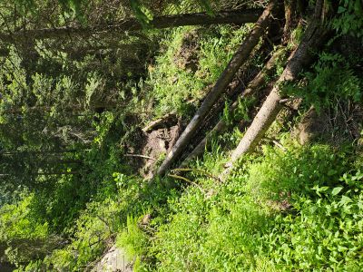 Climb Down to Waterfall