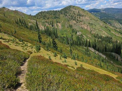 Basin Trail