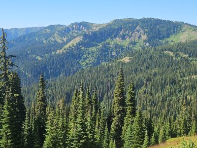 Stateline