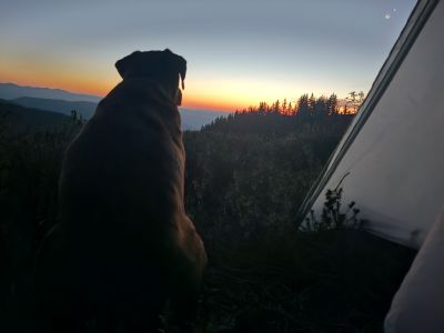 Skye Sunrise