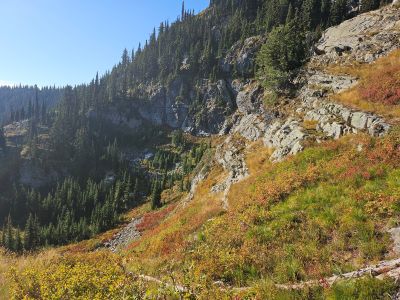 Trail Back