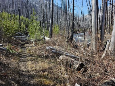 Along the Trail