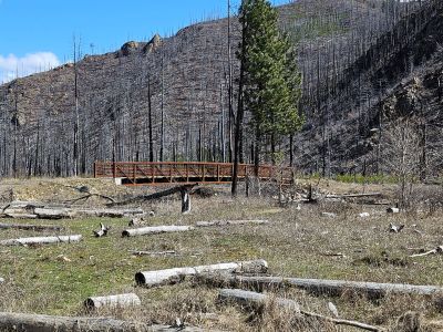 Stock Bridge at Clearwater Crossing