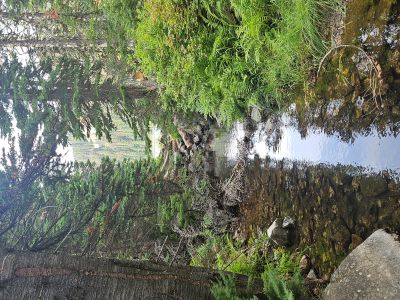 Lower Blossom Lake