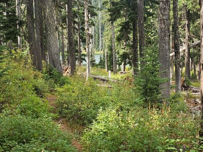 Lower Blossom Lake