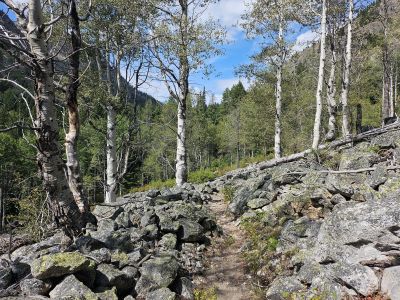 Along the Trail