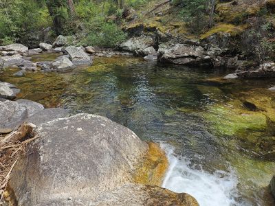 Swimming Hole Near Trailhead