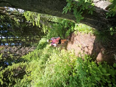 On trail to Surveyor Lake