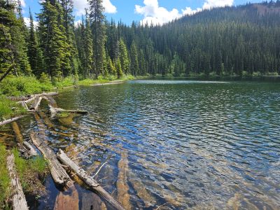 Surveyor Lake