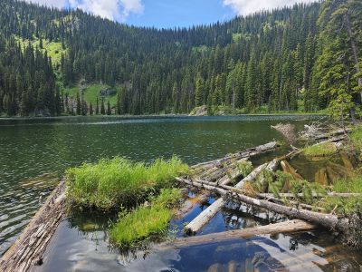 Surveyor Lake
