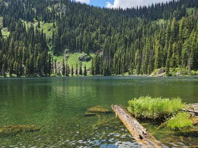 Surveyor Lake