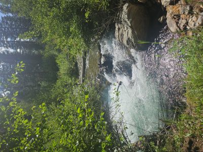 Straight Creek