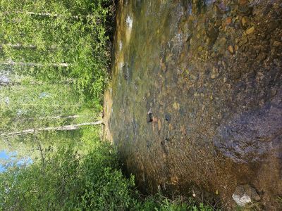 Straight Creek