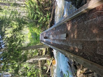 The Bridge over the West Fork