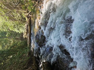 West Fork of Fish Creek