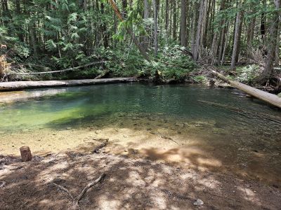 Swimming Hole