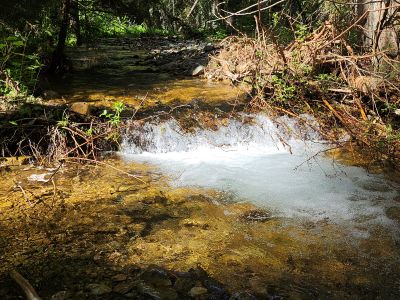 Graham Creek