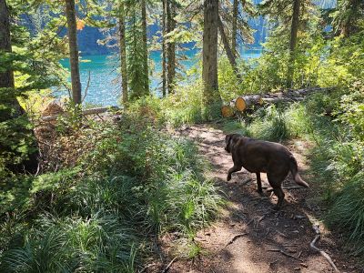 Skye Heading to the Lake