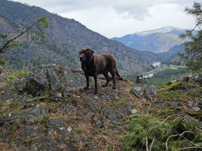 Skye at top of Cascade Falls