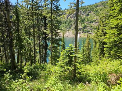 Almost to the Lake