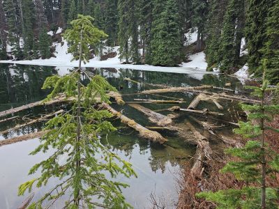 Lenore Lake
