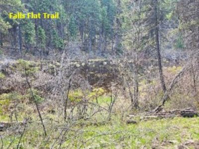 Connector Trail 2024