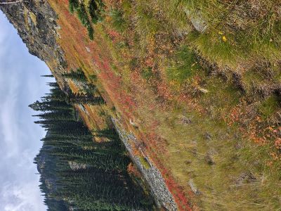 Primitive Trail