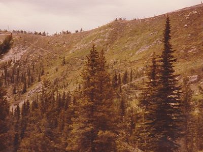 Trail Out of Cataract Gulch