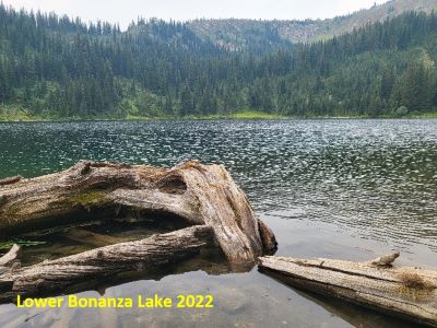 The Log 2022