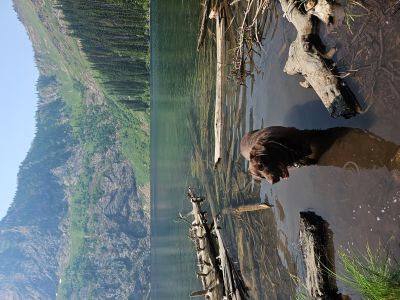 Skye in Lake