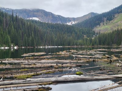 Diamond Lake 2023