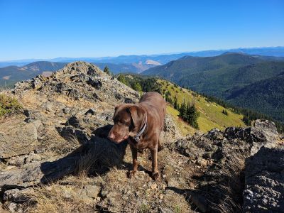 Skye on the Summit