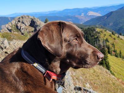 Skye on the Summit