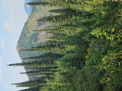 Oregon Peak