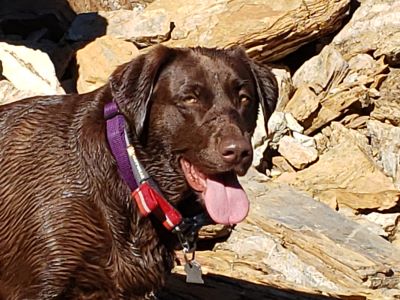 Skye Upper Oregon Lake 2020