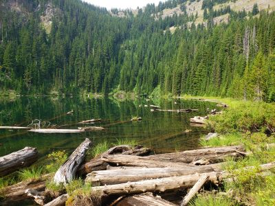 Evans Lake 2020
