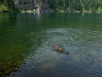 Evans Lake 2020
